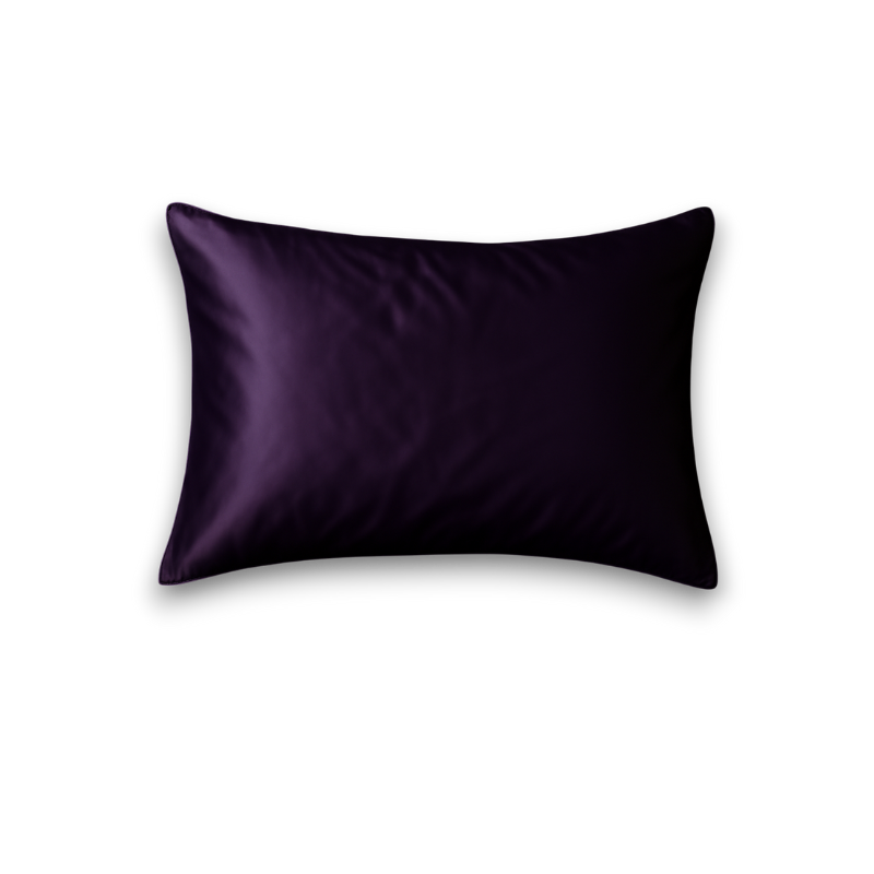TAIE D’OREILLER PURE SOIE DE MÛRIER 100%